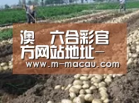 种植基地七(图1)