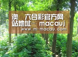 种植基地九
