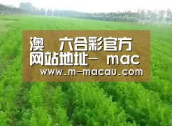 种植基地四