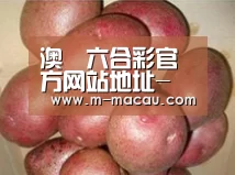 产品展示标题1