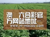 种植基地五(图1)