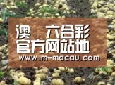 种植基地七