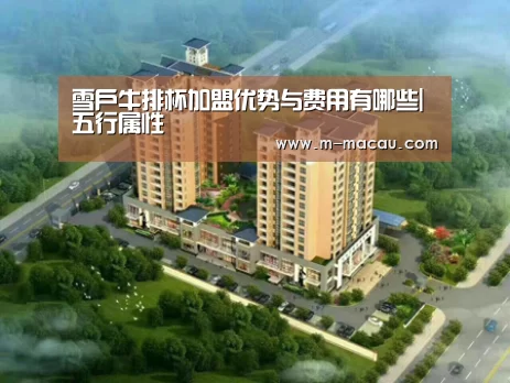历史记录