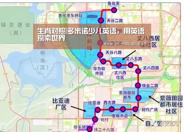 生肖对照|多米诺少儿英语,用英语探索世界(图1) 五行属性
