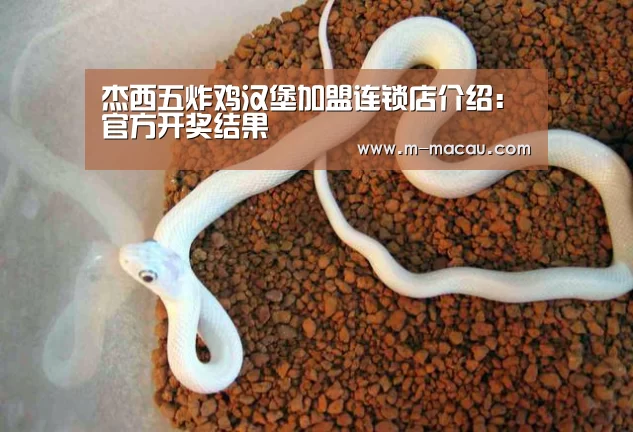 杰西五炸鸡汉堡加盟连锁店介绍:官方开奖结果(图3) 澳门六合彩