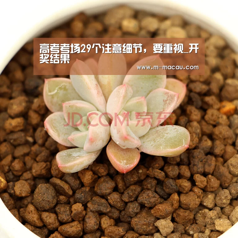 高考考场29个注意细节,要重视_开奖结果(图2) 开奖结果